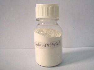 Carbaryl